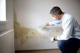 Best Asbestos and Lead Testing During Mold Inspection in USA